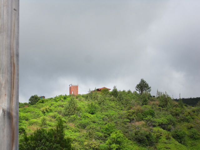 IMG 0612 copy